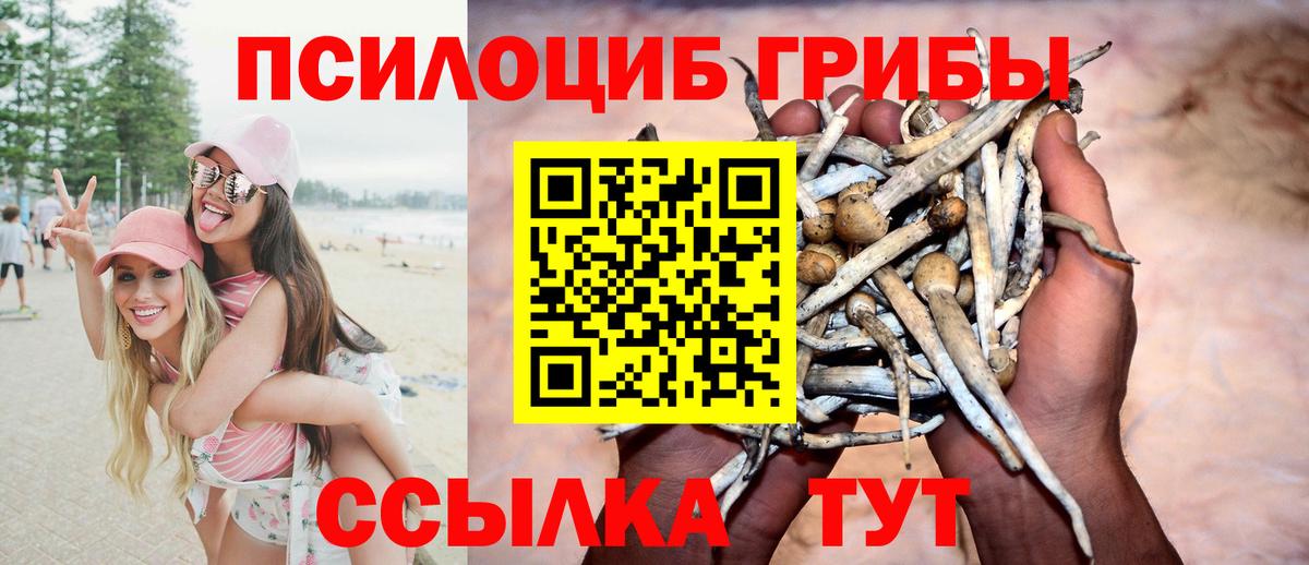 Псилоцибиновые грибы MAGIC MUSHROOMS  Вход с VPN  Брянск 